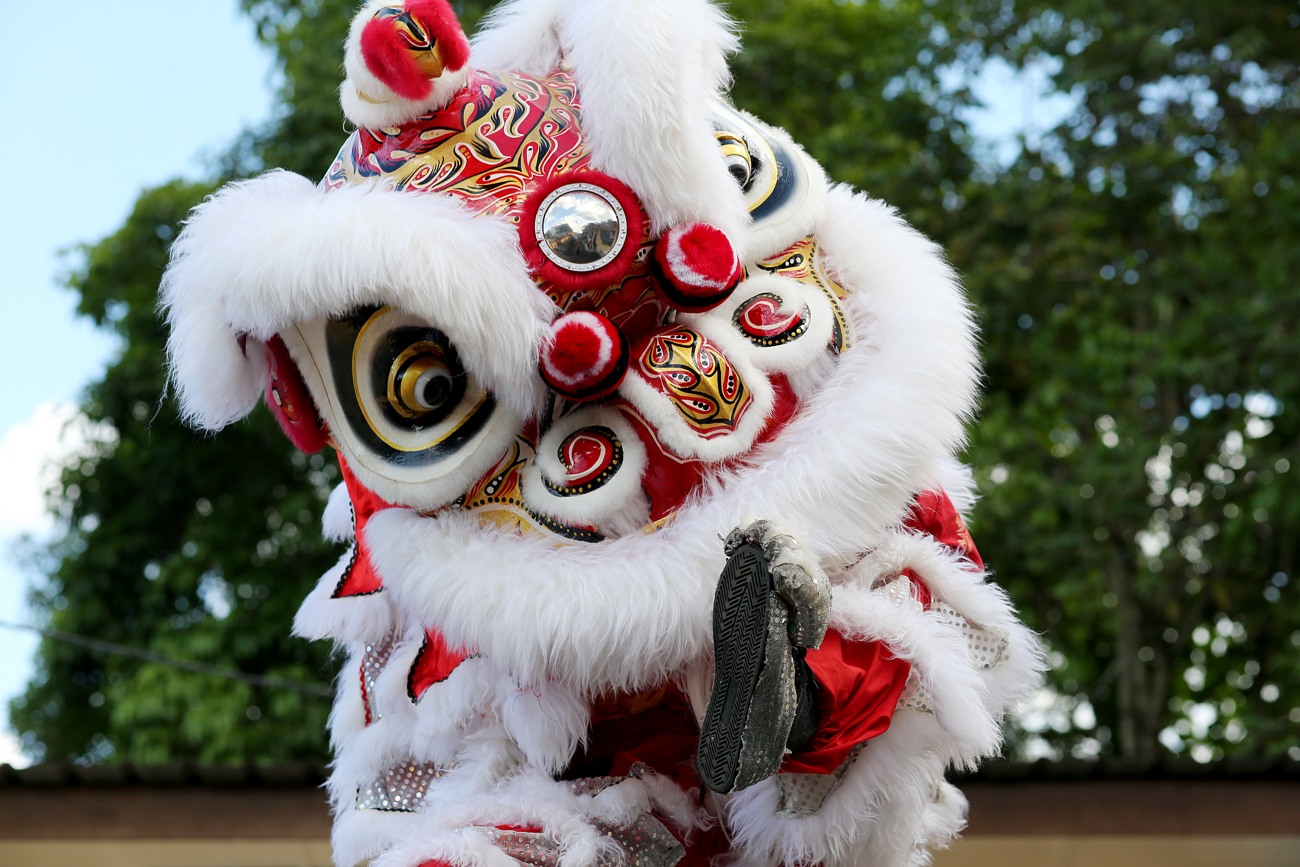 Lion dance image